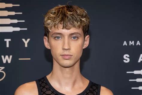 troye sivan penis|The truth about Troye Sivan’s sexuality and his。